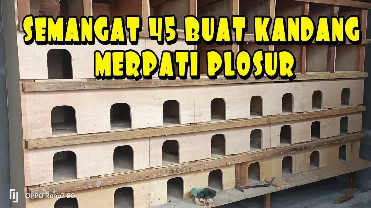 PAPAN DAN TEIPLEK BUAT KANDANG MERPATI PLOSUR