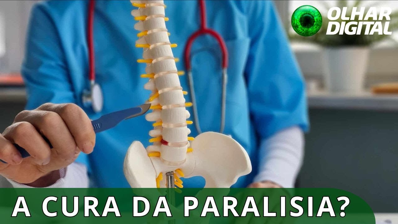A cura para a paralisia? O medicamento brasileiro que reverteu casos de lesão medular