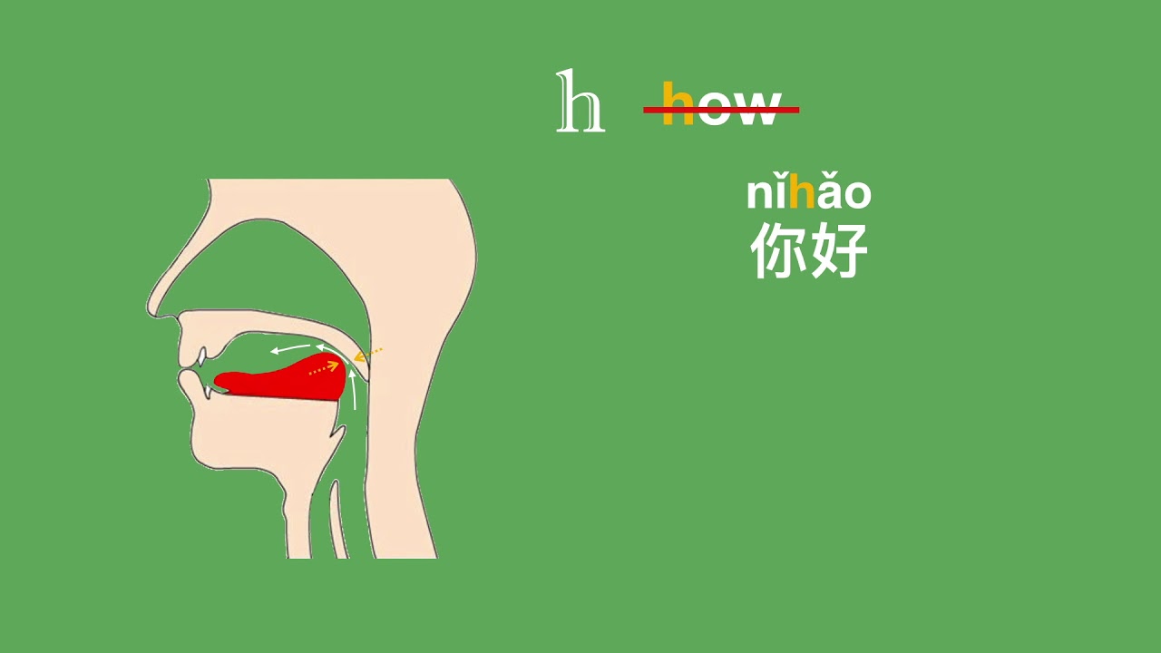 Chinese Pronunciation: 