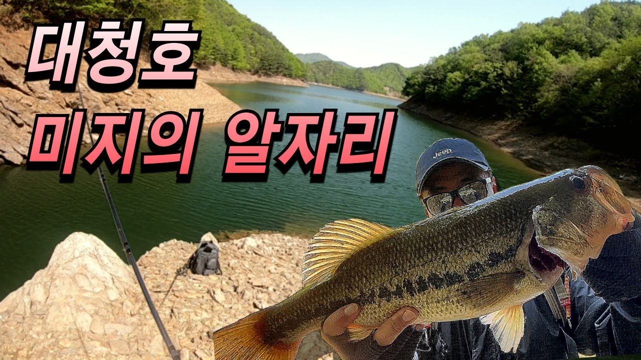 대청호 미지의 알자리 포인트 #배스낚시 #낚시  #빅베이트