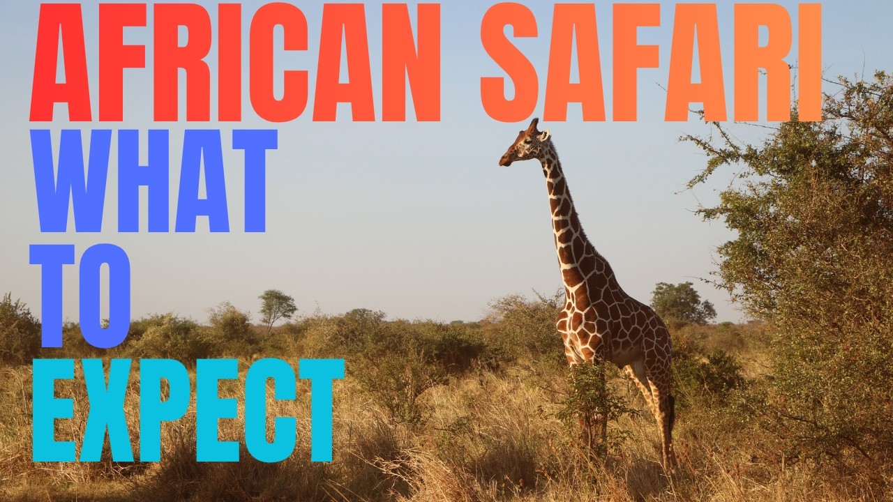 Elephants Gone Wild - Day 2