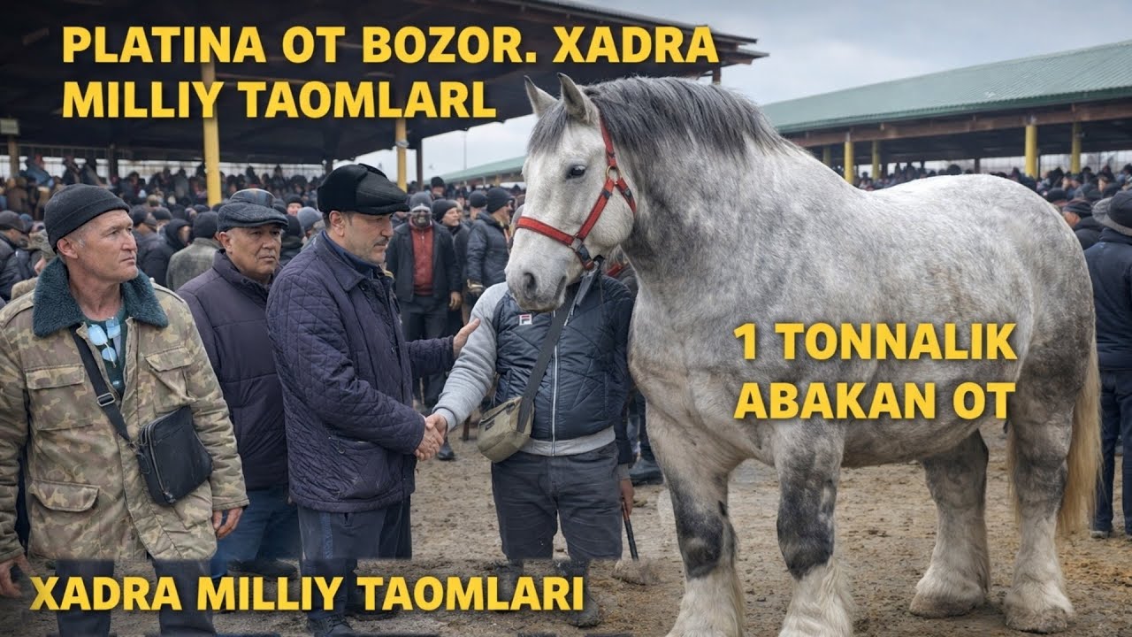 PLATINA OT BOZOR KOMIL AKA 50 mln  ABAKAN OT. ABAKAN BIYALA 25 mlndan.TOYLA 52.000 SO'M ☎️942100007 