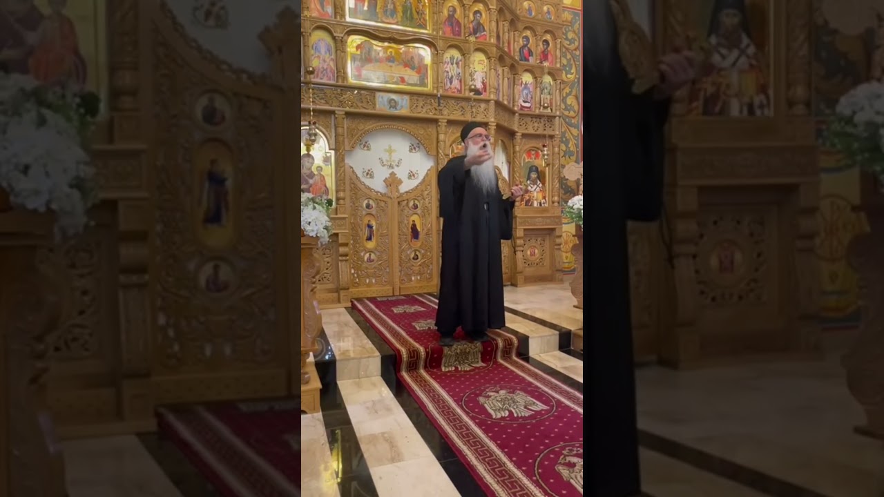 Sfaturi duhovnicești Pr. Irineu Curtescu ~Ms. PONOR (Alba Iulia) partea a 4a