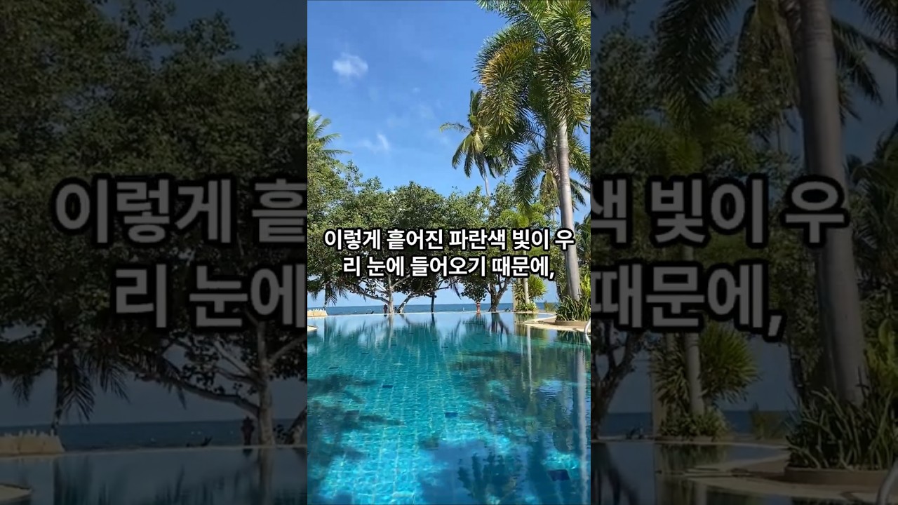 수영장 물은 왜 파랄까??  #과학#생활#지식#이슈#블로그#