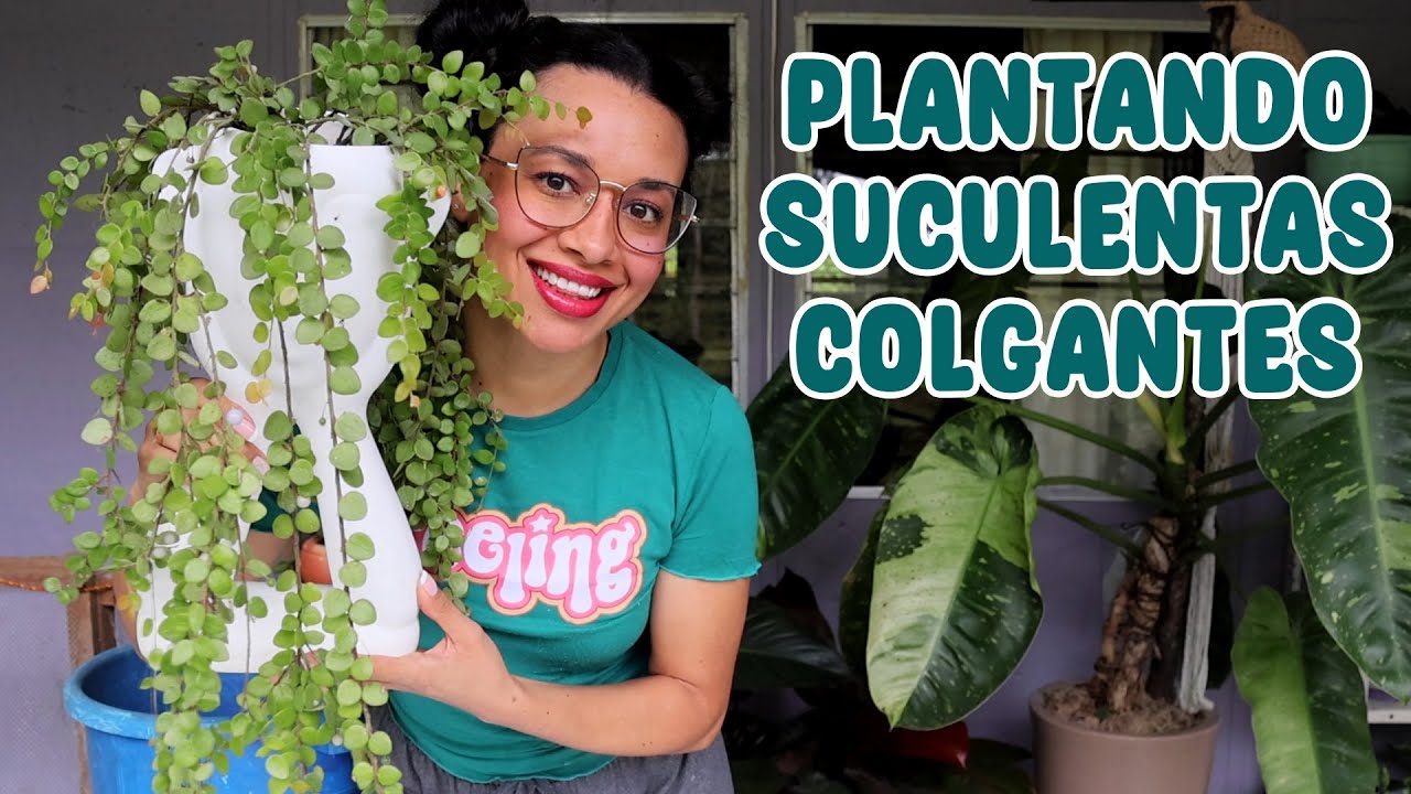 Trasplantando suculentas colgantes ¡Esto salió increíble! │Candy Bu