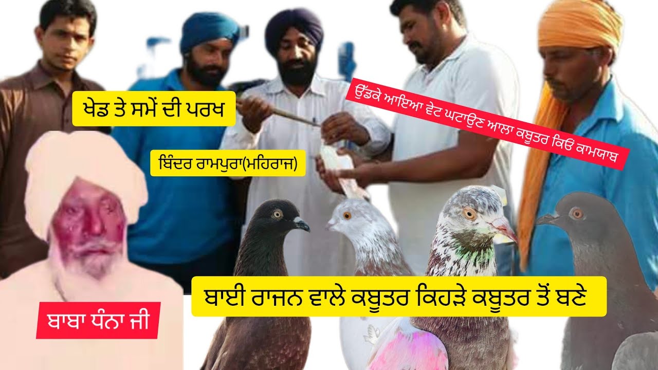 Ik Shonk Kabootarbaazi Da Full Interview ਬਿੰਦਰ ਰਾਮਪੁਰਾ ਚੰਗੇ ਕਬੂਤਰ ਦੀ ਪਰਖ ਤੋਂ ਸਾਂਭ ਤੱਕ ਦਾ ਸਫਰ