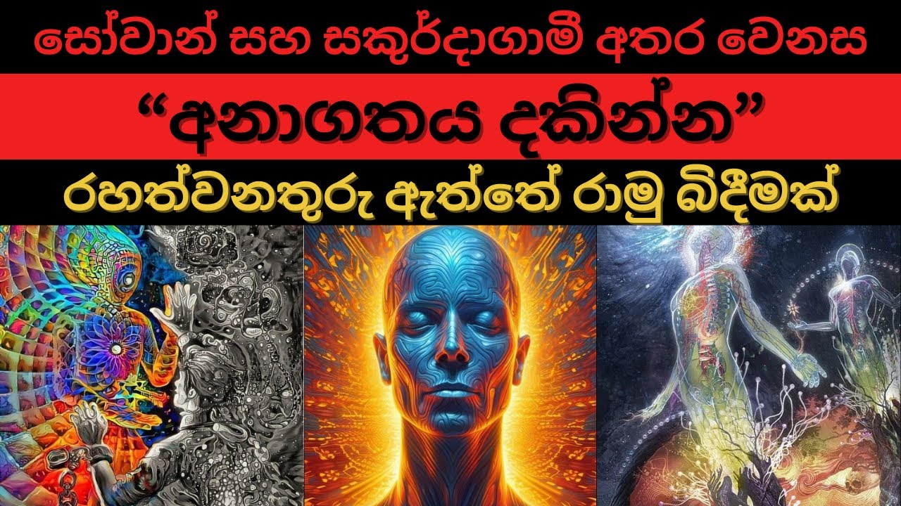 අනාගතය දකින්න  | රහත්වනතුරු ඇත්තේ රාමු බිදීමක් | සෝවාන් සහ සකුර්දාගාමී අතර වෙනස