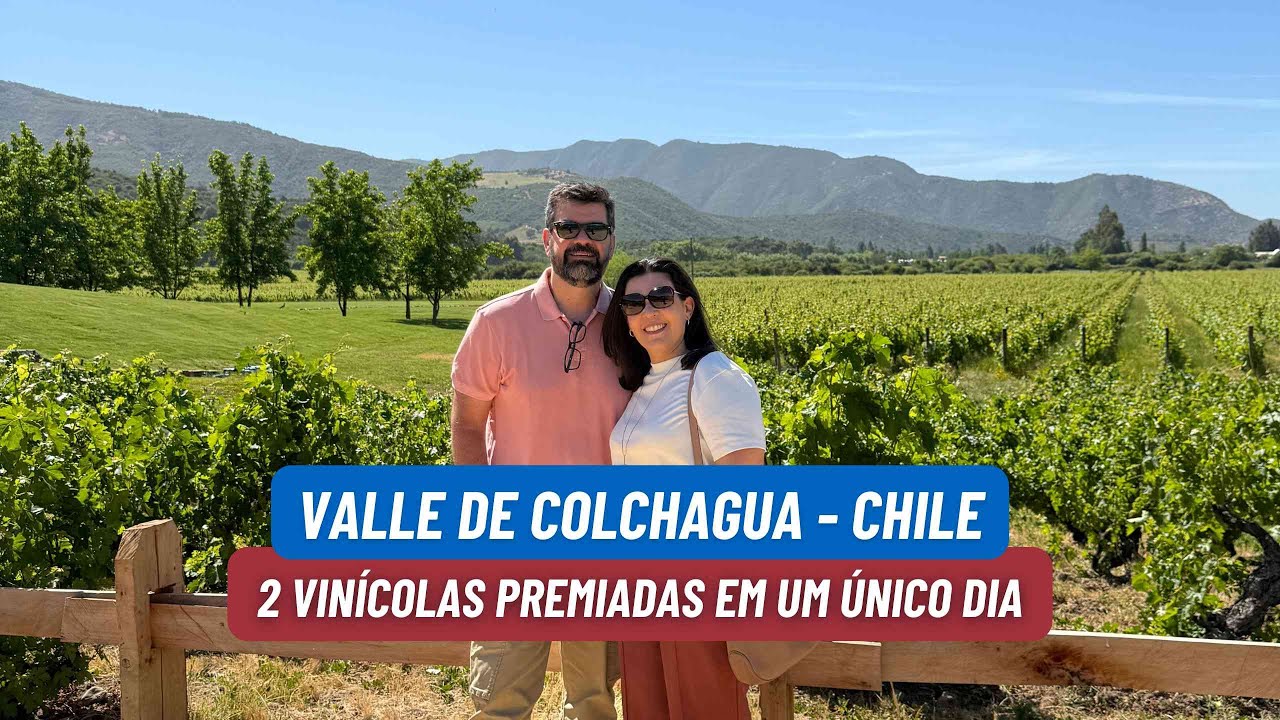 Duas vinícolas chilenas premiadas em um ÚNICO DIA!