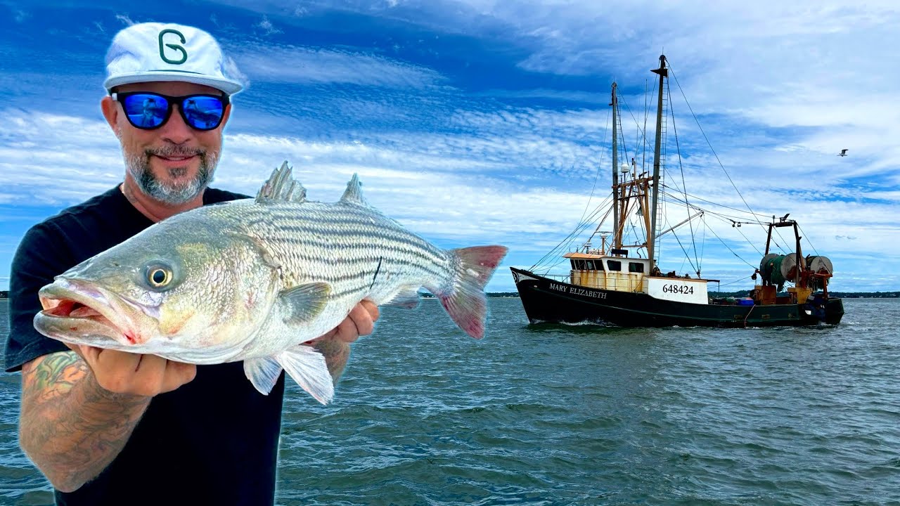 THIS BAIT NEVER FAILS | Striper Tostadas