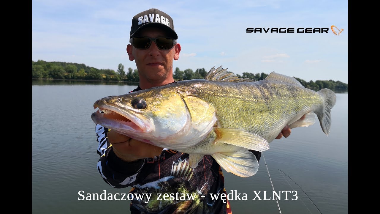 Szkółka SavageGear - Zestaw na sandacze, wędka XLNT3