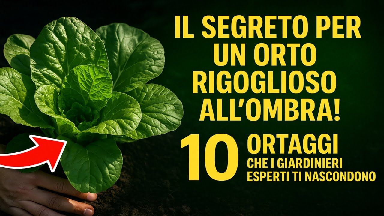 Il Segreto per un Orto Rigoglioso allOmbra: 10 Ortaggi che i Giardinieri Esperti ti Nascondono