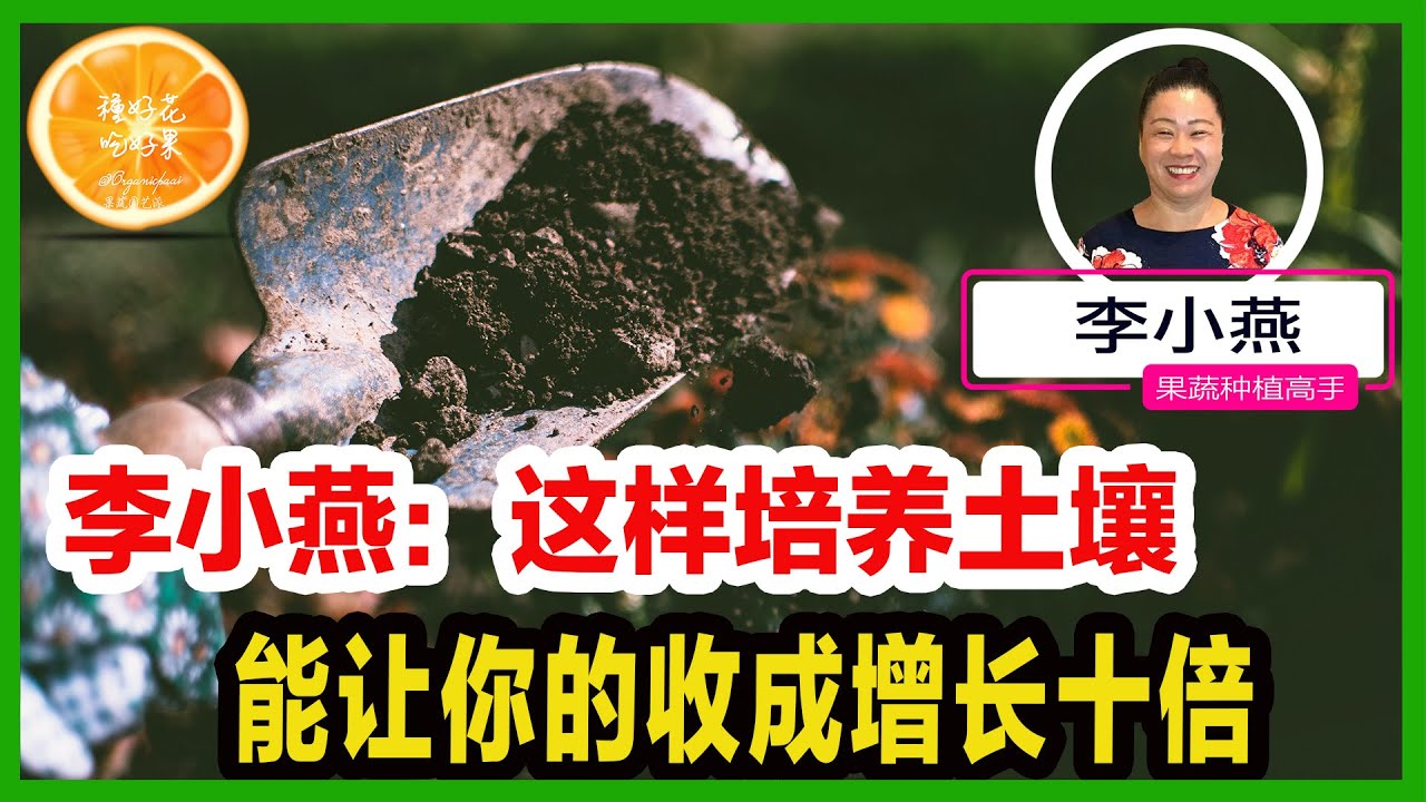 在家种植，你可以这样养土！土养好了，收成翻倍！家里的厨余、果皮、以及落叶，都能变废为宝，为您的种植助力！