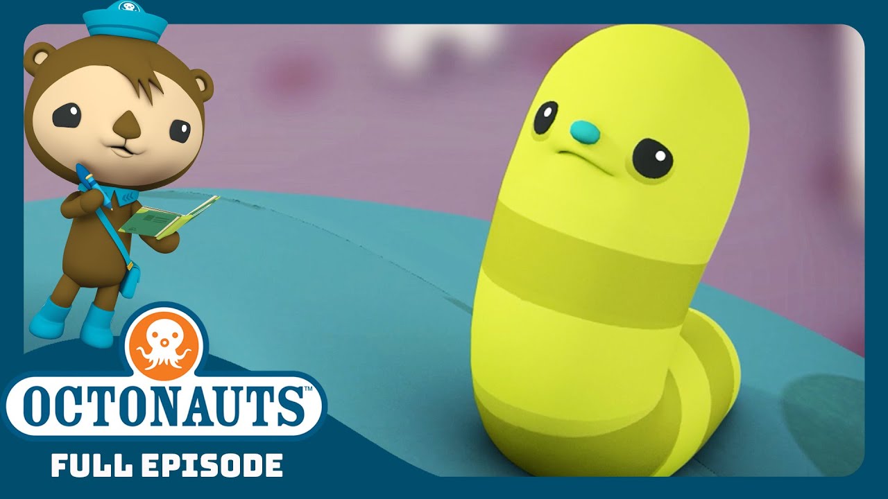 ‪@Octonauts‬