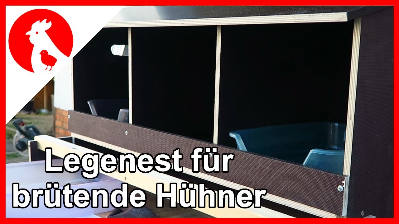 070 Legenest für Hühner - Eigenbau -  Jensman and the Huhns