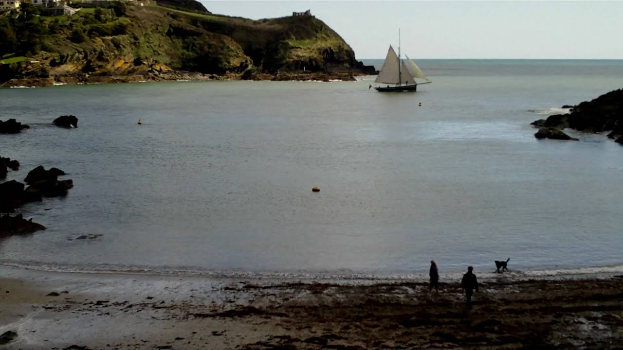 Toshiba Camileo S10 HD Video Camera