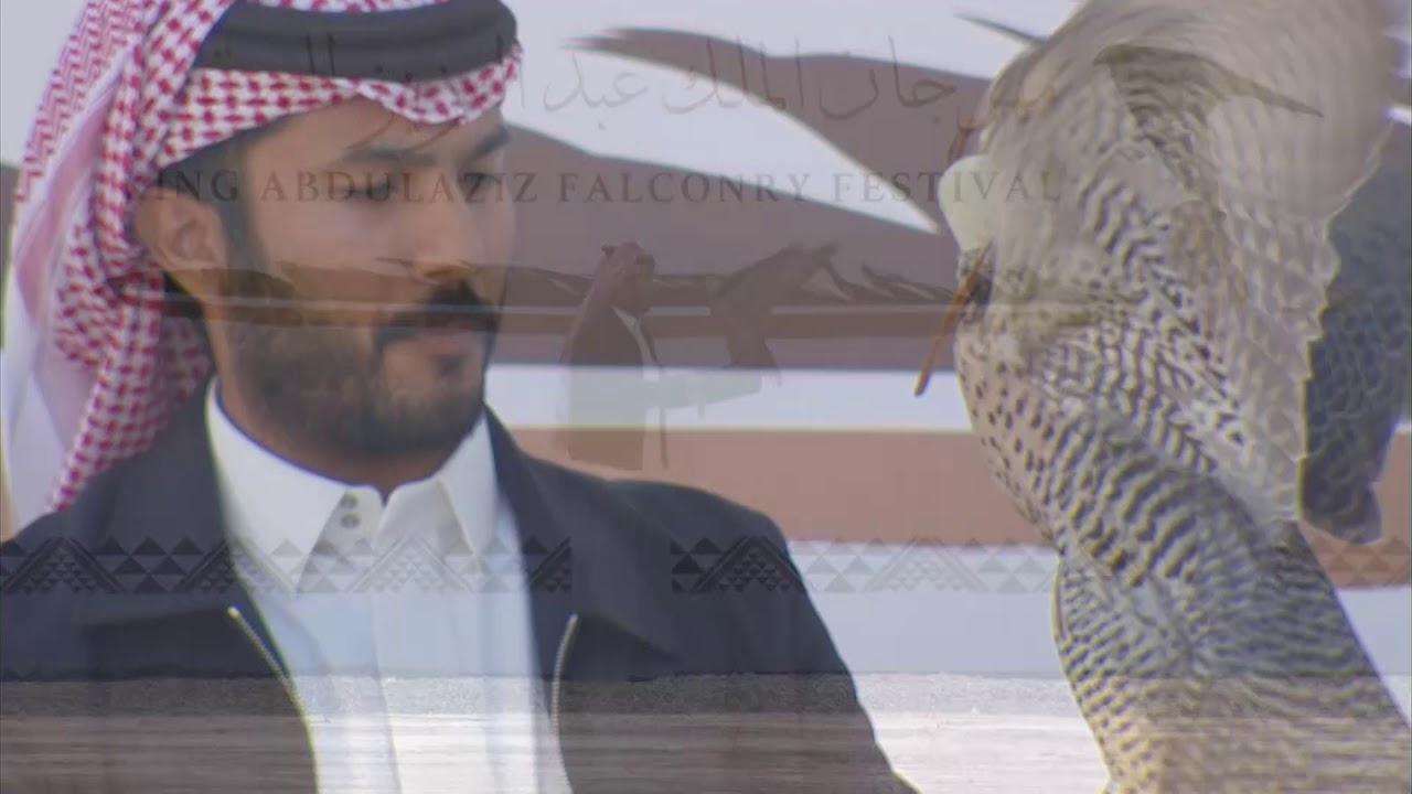 ملخص أشواط سباق الملواح اليوم الخامس بمهرجان الملك عبدالعزيز للصقور 2