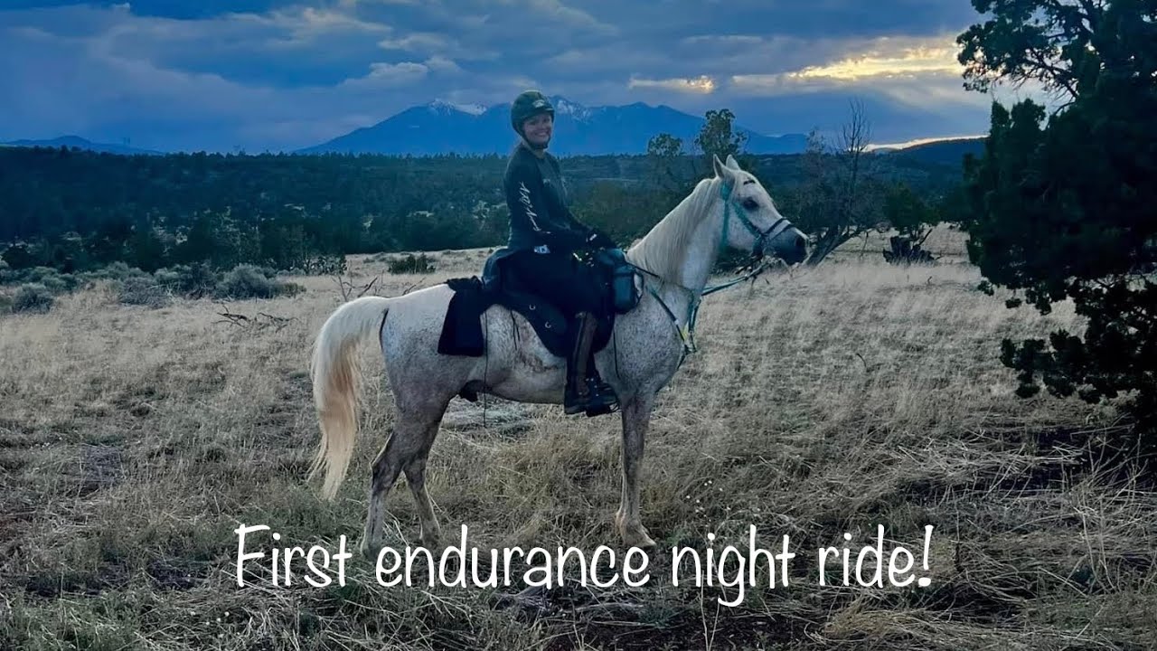 My Arabian’s first night ride with AERC - literally no moon to see!