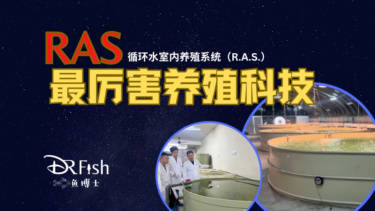 RAS最厉害的养殖科技【循环水室内养殖系统】