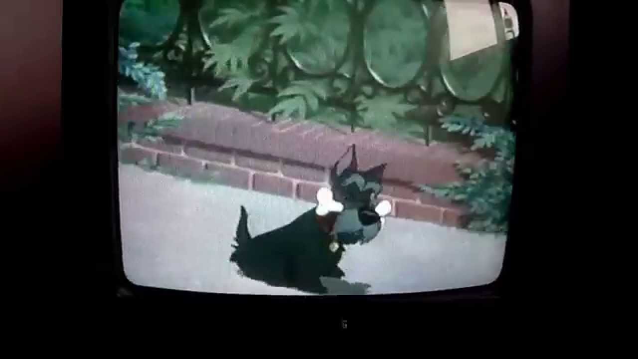 Lady and the tramp jock's song