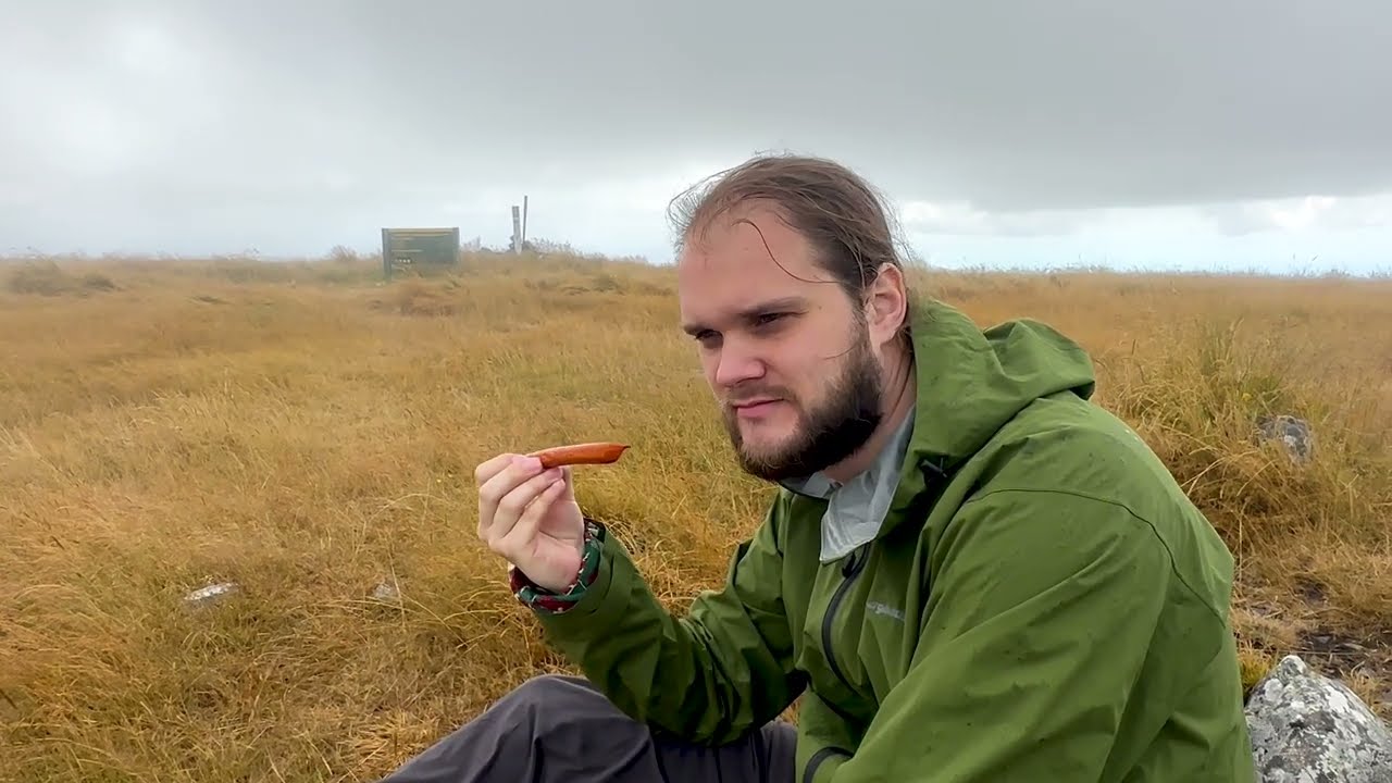 Te Ahu Patiki | Mt Herbert Banks Hike Peninsula Christchurch NZ