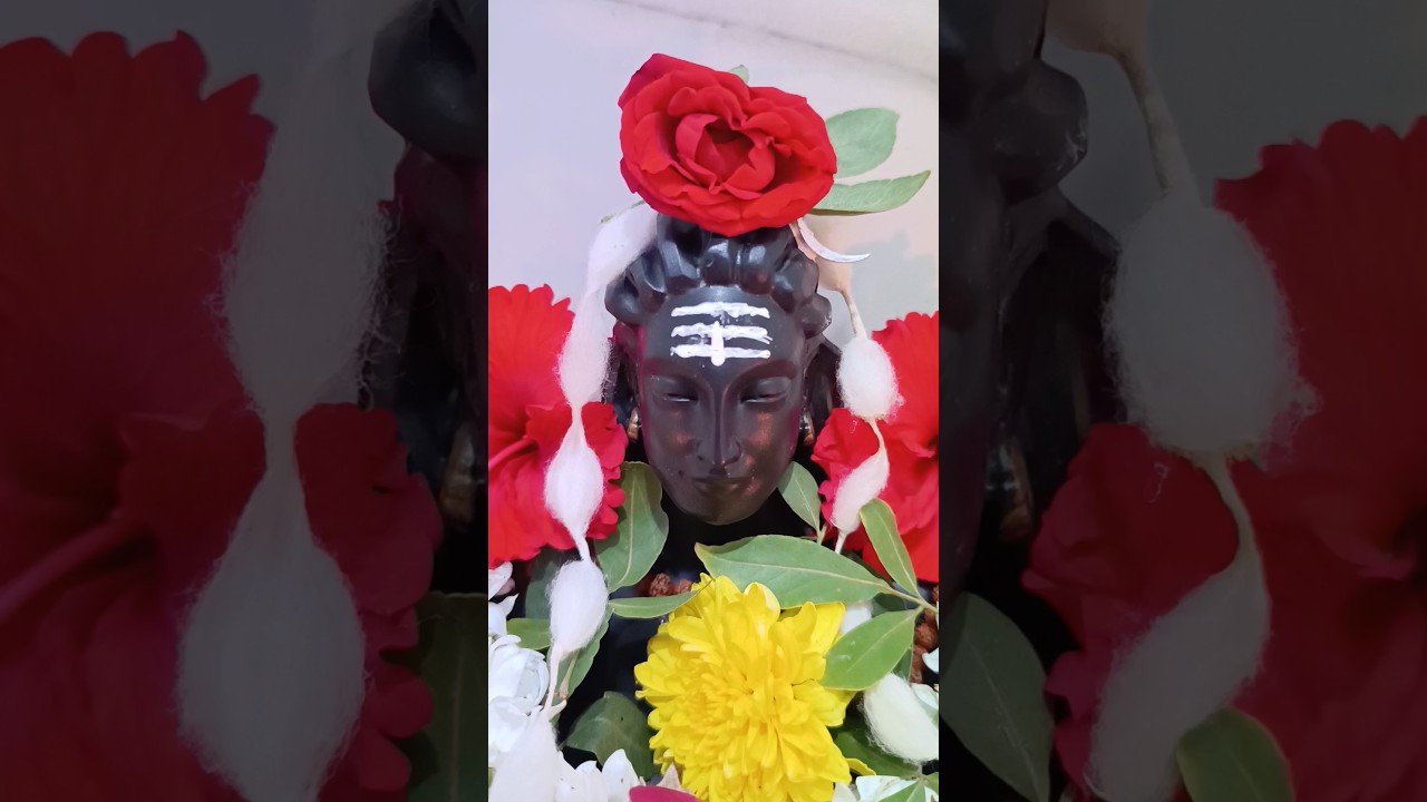 ಮಹಾಶಿವರಾತ್ರಿ ಹಬ್ಬದ ಶುಭಾಶಯಗಳು🙏😇 Happy Mahashivratri #trending #god #shiva #mahashivratri2026 #bless
