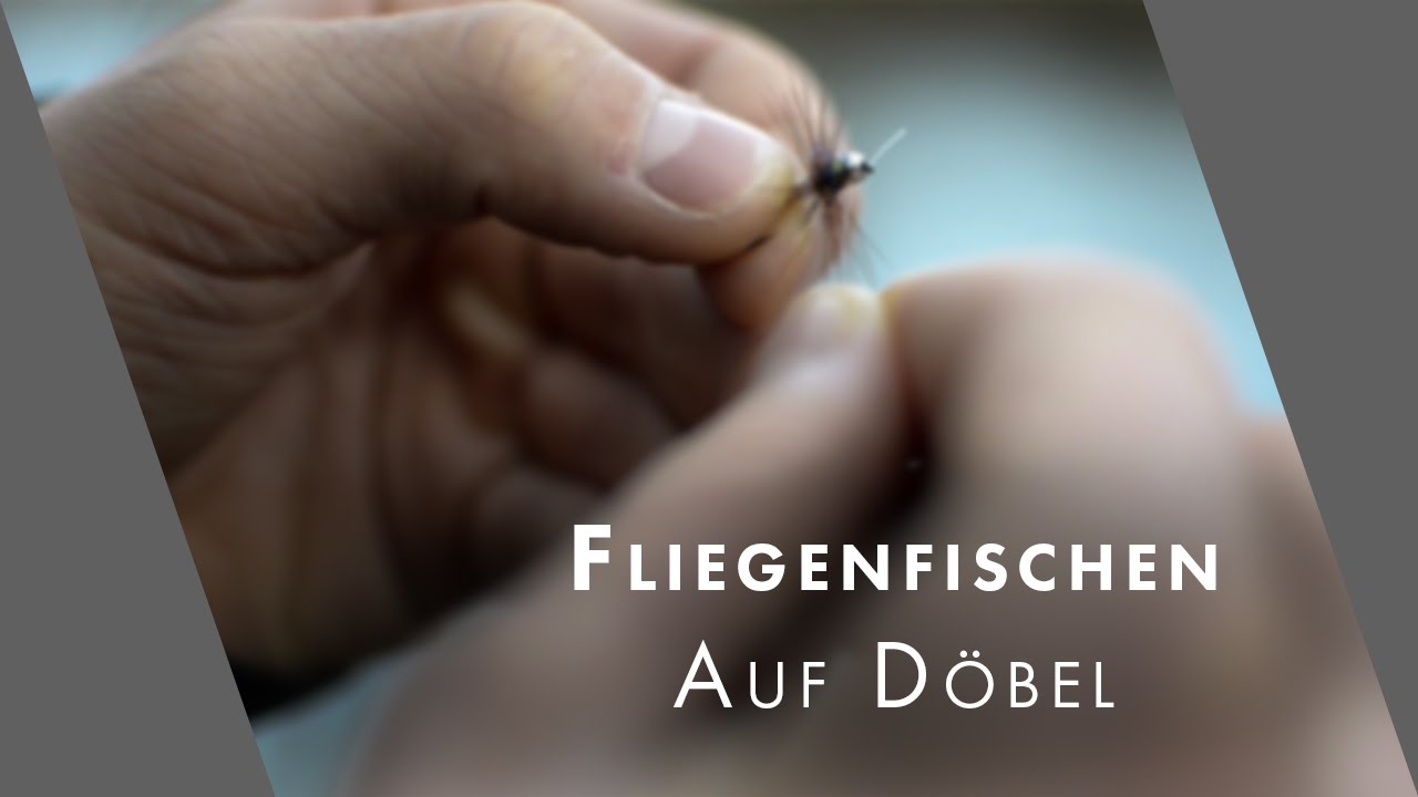 Fliegenfischen auf Döbel