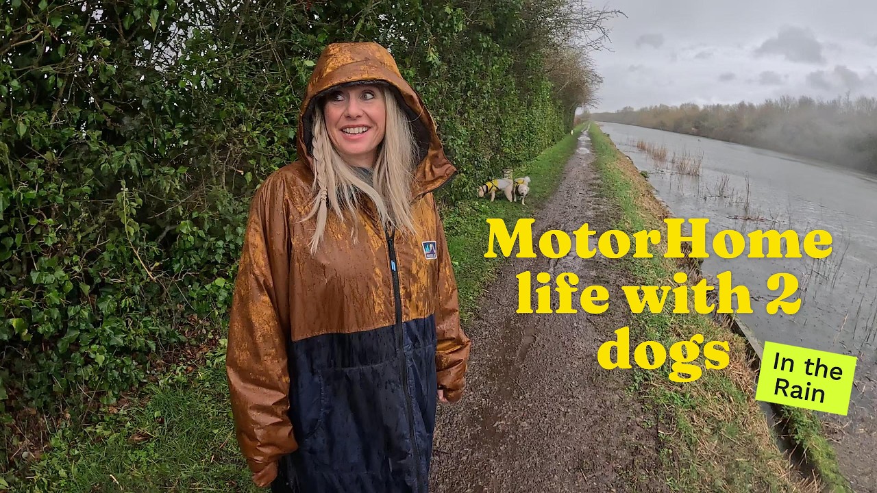 Motorhome adventures in the uk with 2 dogs