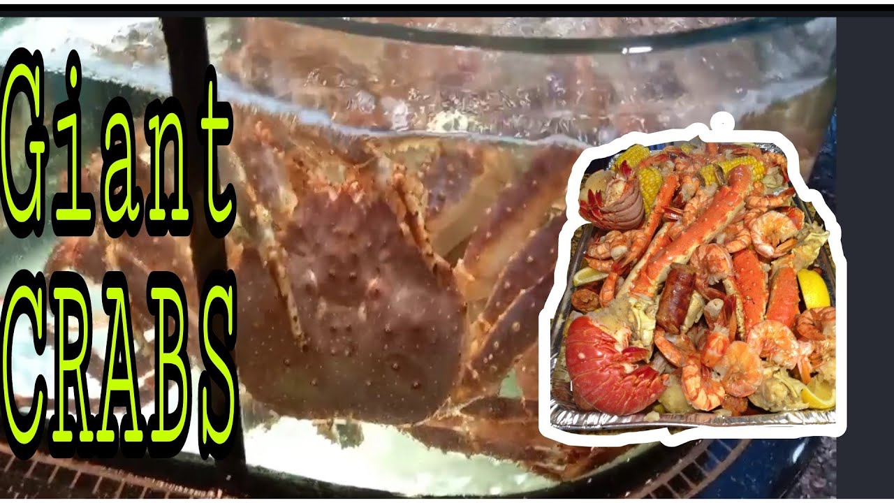 UNTI UNTING PAGBALIK NORMAL SA HK RESTAURANT #hkrestaurant #victoriaharbourrestauranthk