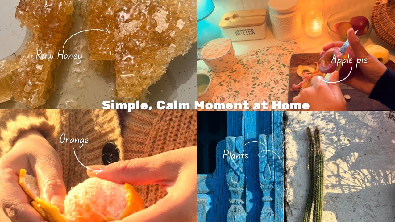 Quite pause at Home|Apple pie recipe|Plant tour🪴#slowliving #uttarakhand #nature 