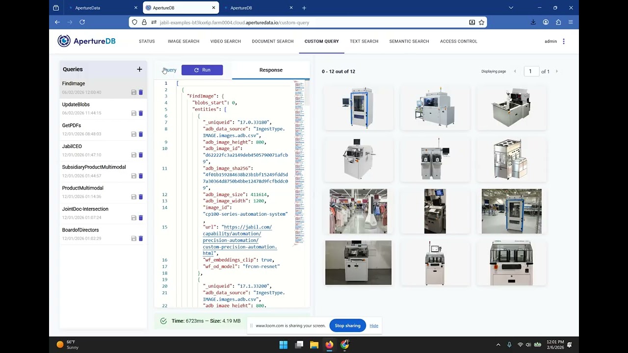 ApertureDB Web UI Custom Queries:  Navigate Multimodal Data Graphically