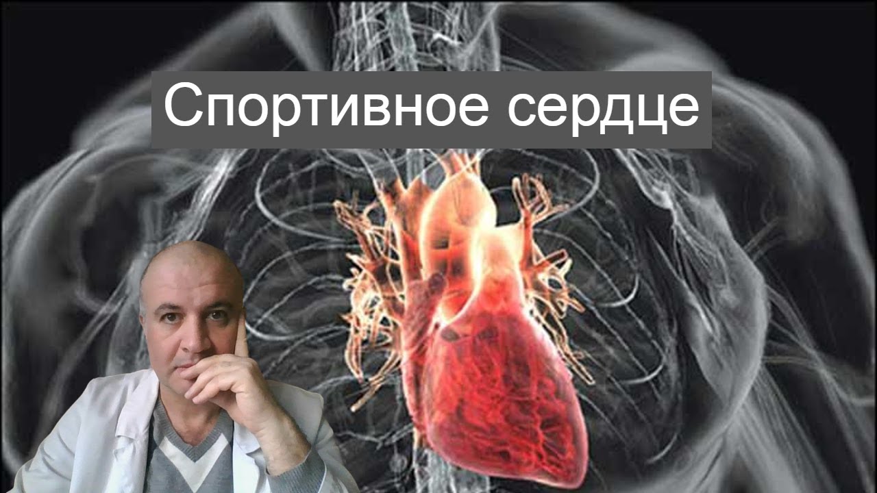 Спортивное сердце: это хорошо или плохо?