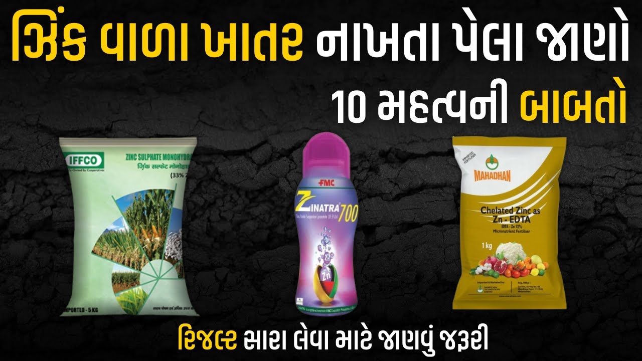 ઝીંક ખાતર નાખતા પેલા જાણો આ 10 બાબતો । Zinc Sulhate । Fertilizer @KhedutPathshala