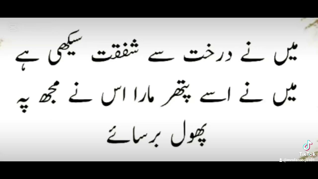 Golden word♥️♥️🌟Mumtaz Farooq