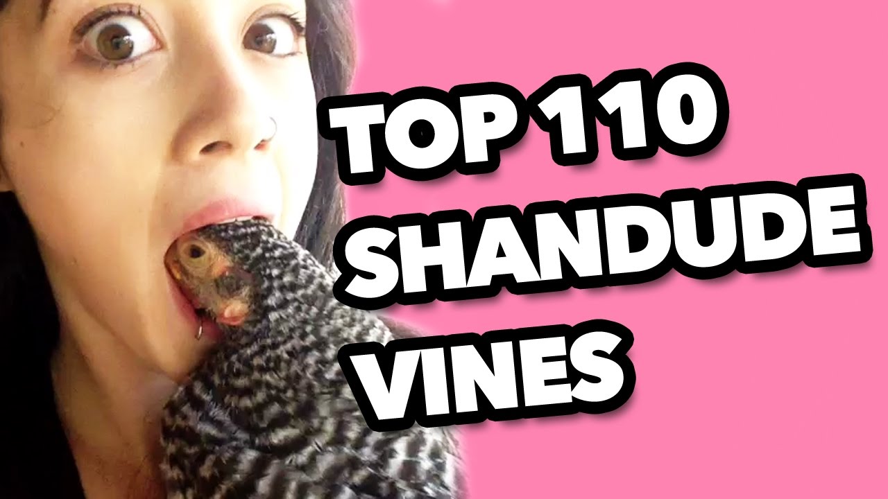 TOP 110 SHAN DUDE VINE COMPILATION