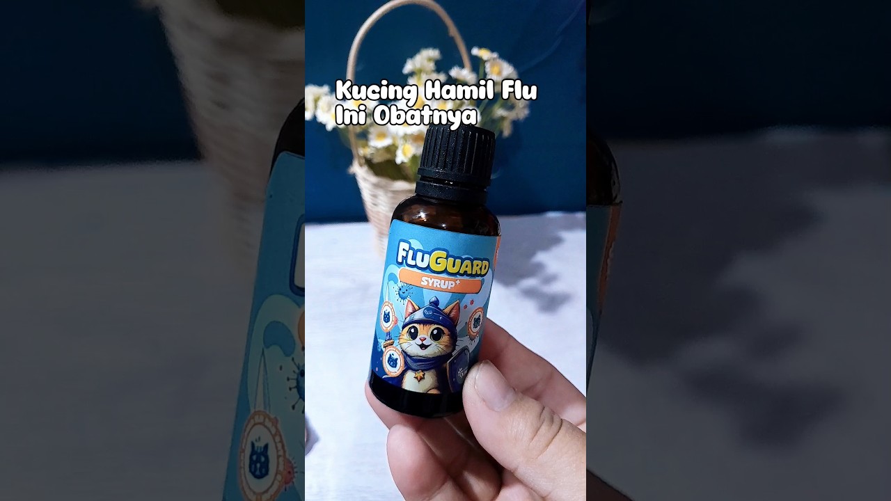 Obat Flu Kucing Menyusui 