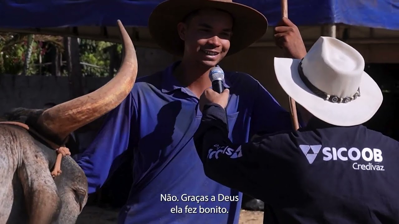 CARRO DE BOIS EM VAZANTE