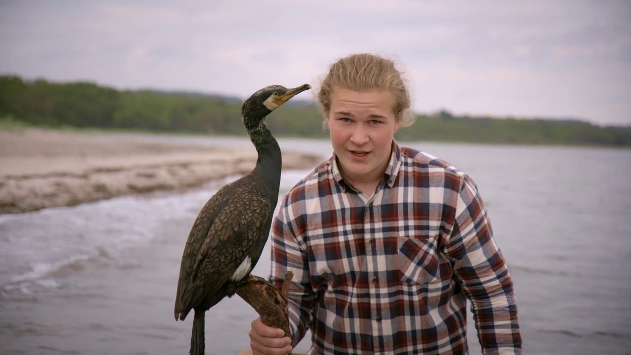 99 arter at se før du bliver voksen: SKARV