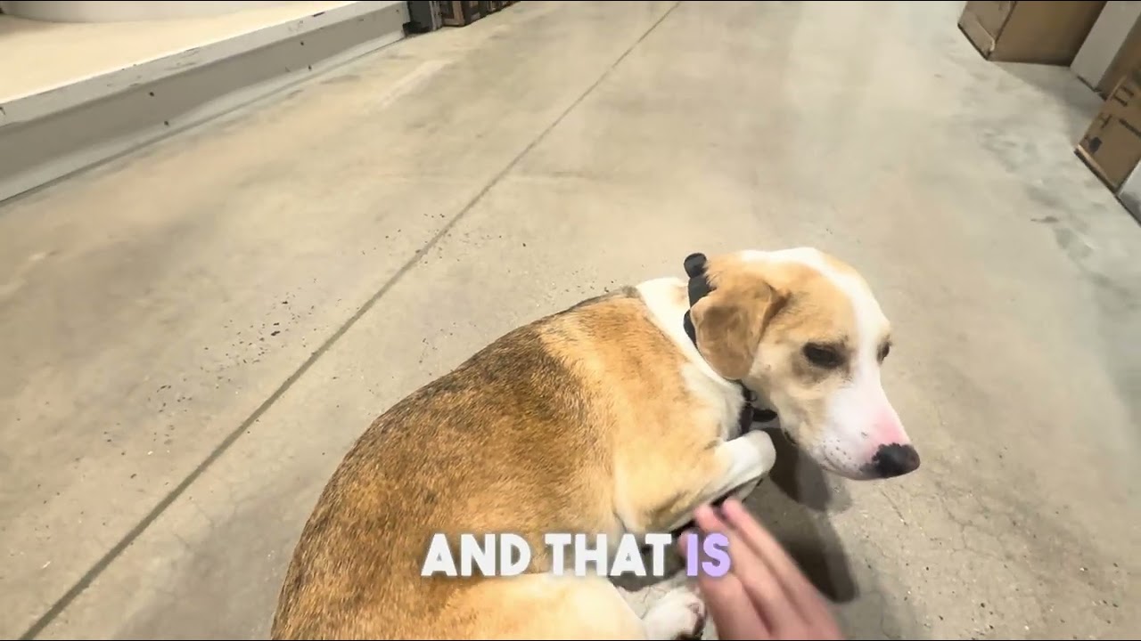 Murray goes to Lowe’s 