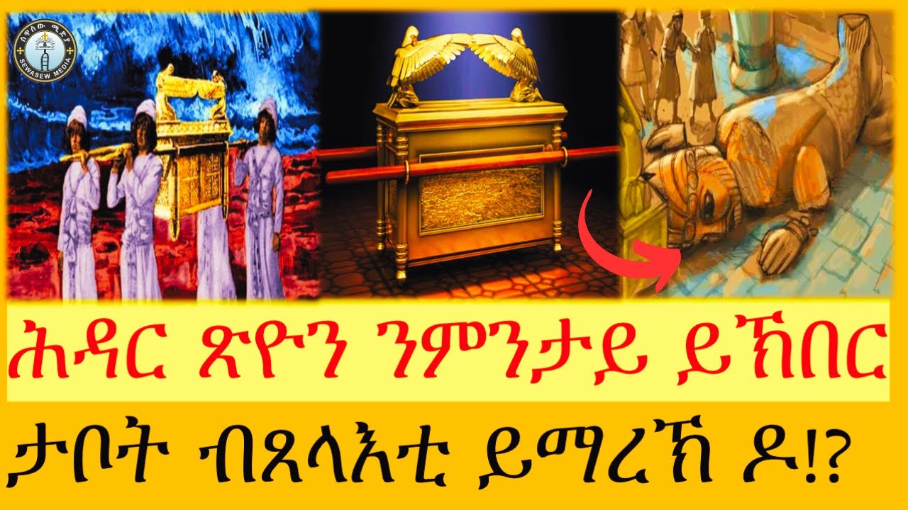 ሕዳር ጽዮን ንምንታይ ይኽበር !? ታቦት ኣምላኽ ብጸላእቲ ክማረኽ ይኽእል ዶ !?