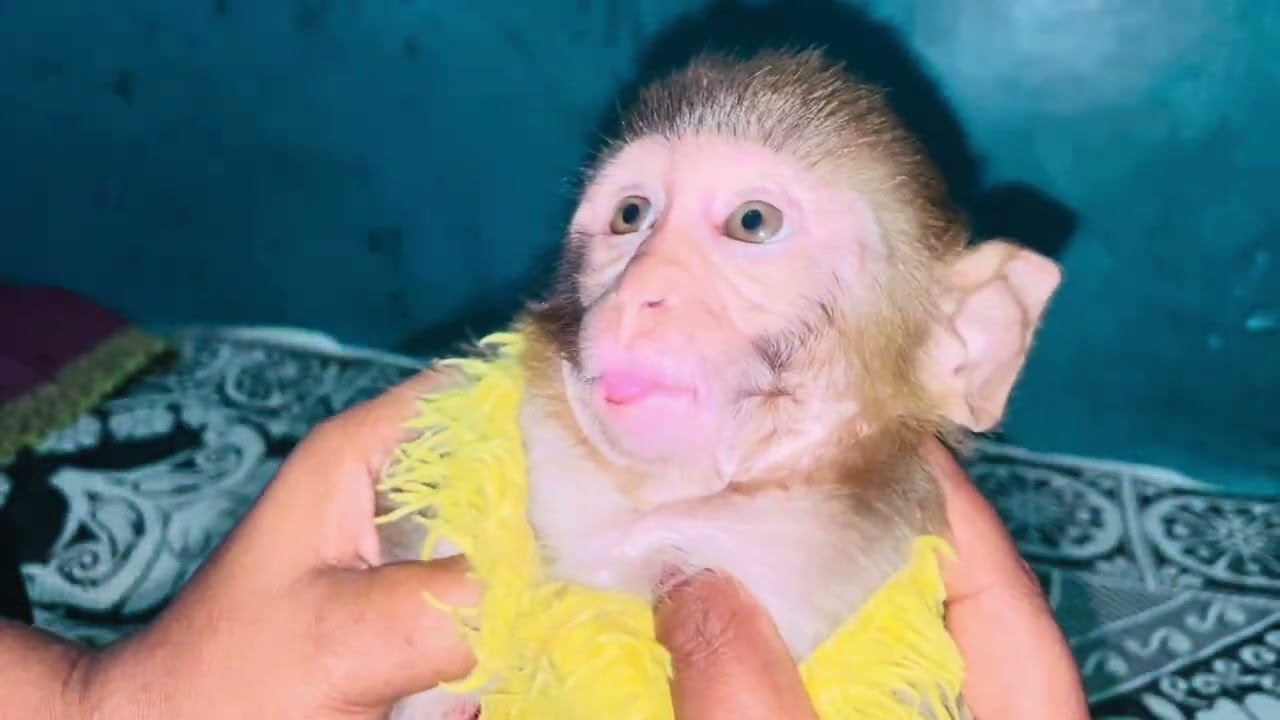lucky ki masti 😘## video pura dekhye aapko maja bahot aane wala hai fraind 😜#longvideo 