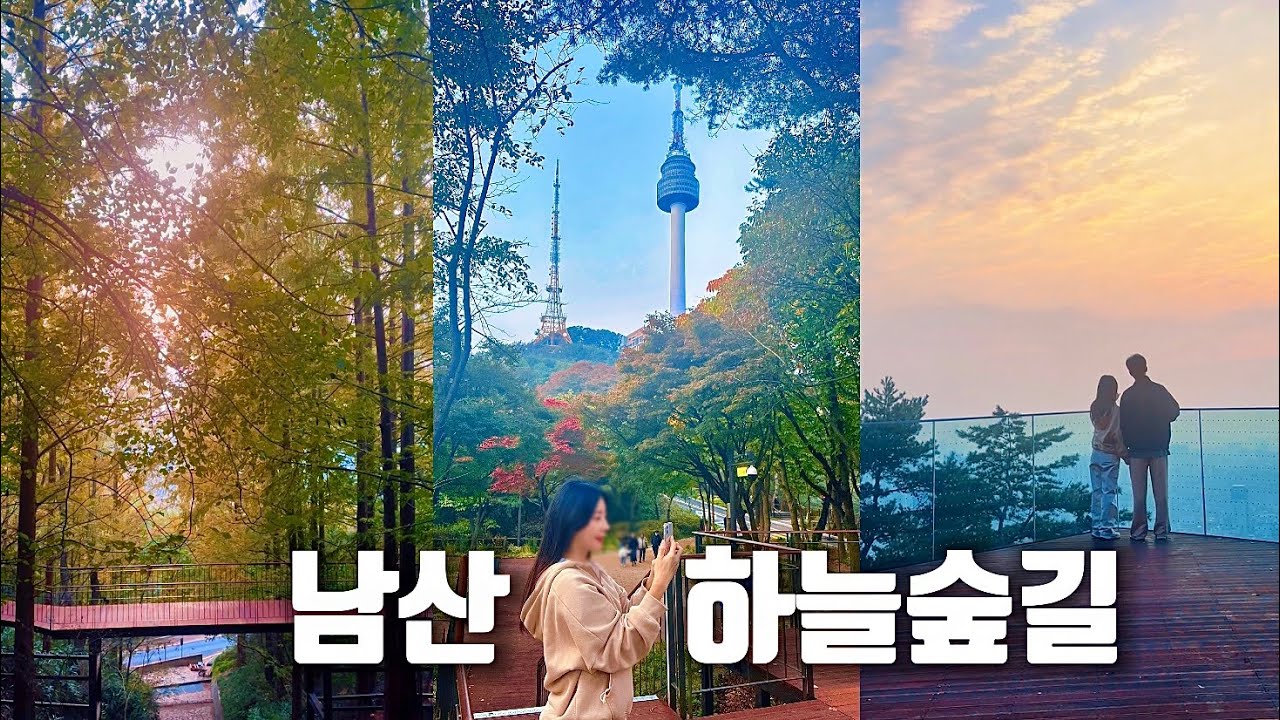 [지하철 여행] 남산으로 가을 단풍🍁 나들이 어때요?🌿 서울 도심 속 힐링 숲길 오픈!지난주 새로 개통된 남산 하늘숲길