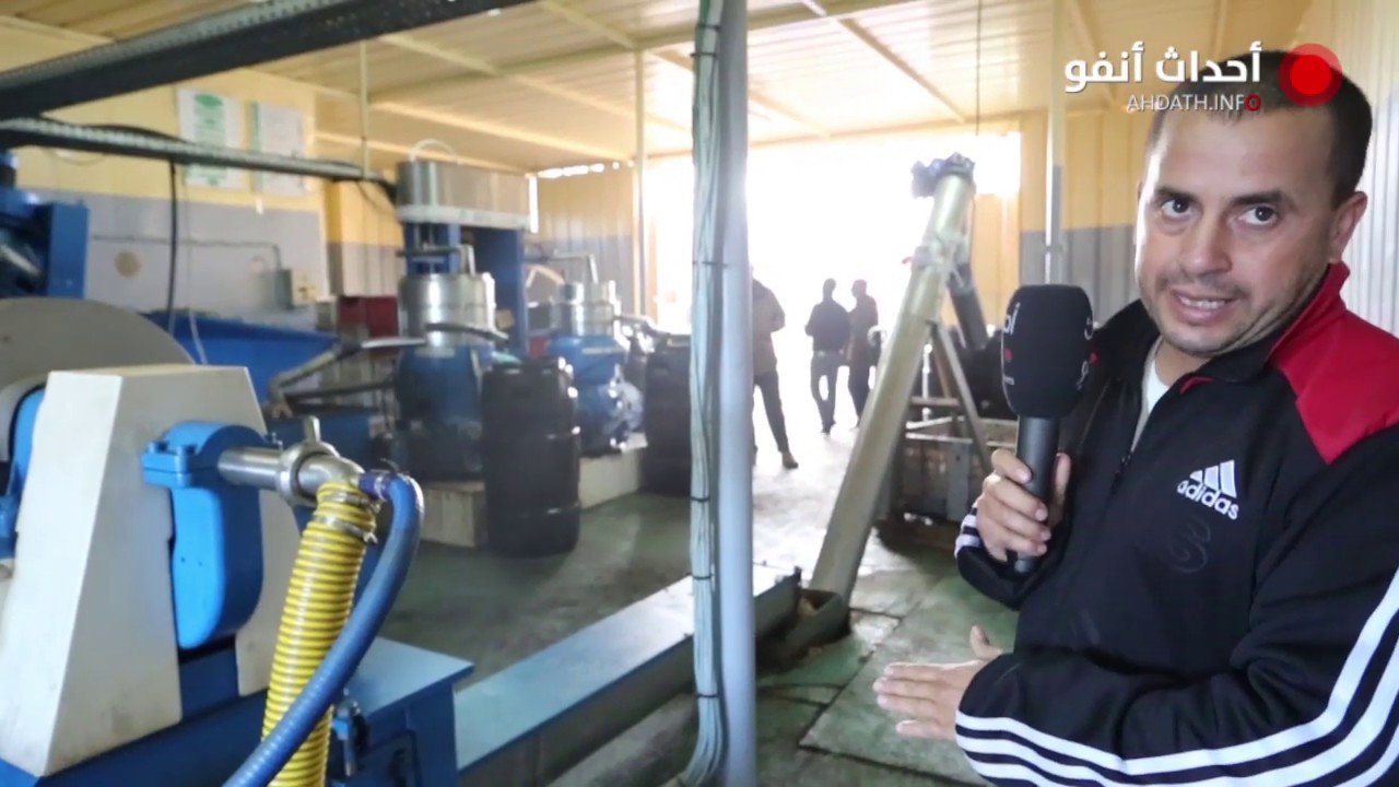 صاحب معصرة يشرح لأحداث أنفو مراحل استخراج زيت الزيتون بجودة عالية