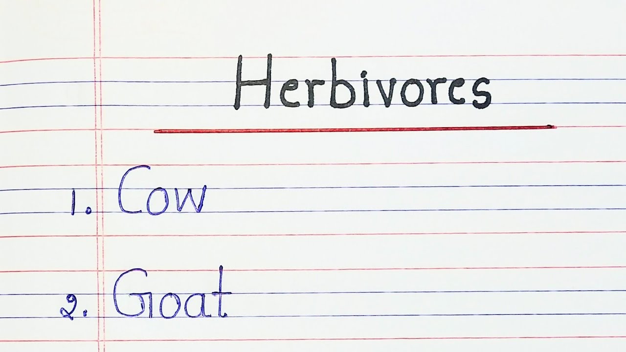 Herbivores  || 20 Herbivorous Animals Name
