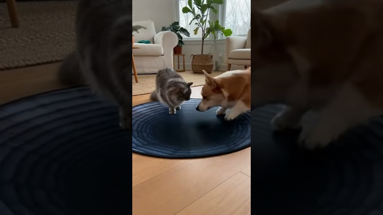 Unlikely Heroes Protect Each Other 