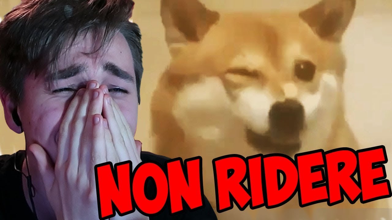 HO PIANTO DALLE RISATE! 🤣| Prova a Non Ridere Challenge #10
