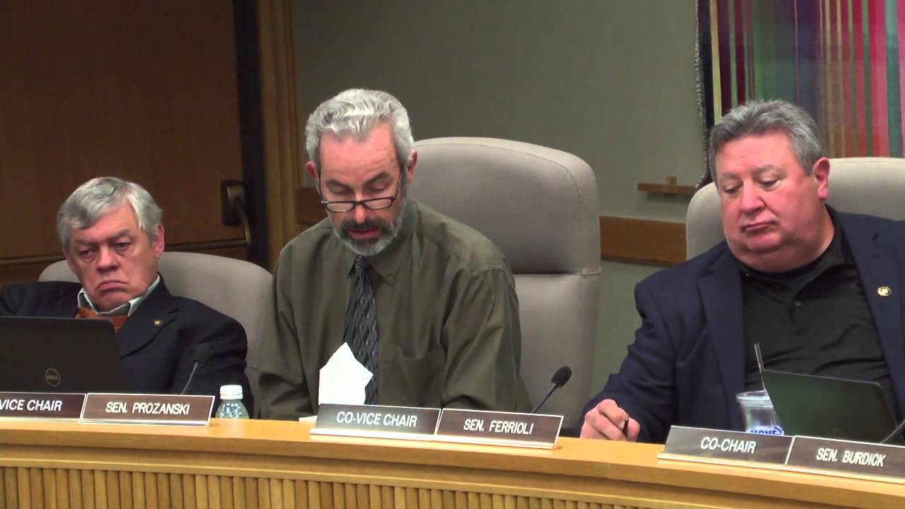 Joint Committee on Implementing Measure 91 - May 11 2015