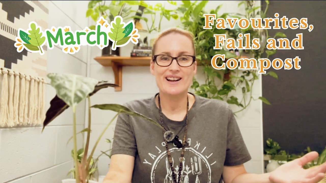 March House Plant Update | What’s Thriving, What’s Struggling & Fresh Eyes After Holidays 🌿✨👀
