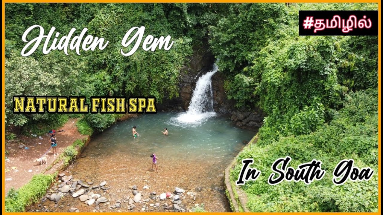 Beautiful Gem In South Goa | Bhupar Waterfalls | Bamanbudo Waterfalls | Followjack 🚶