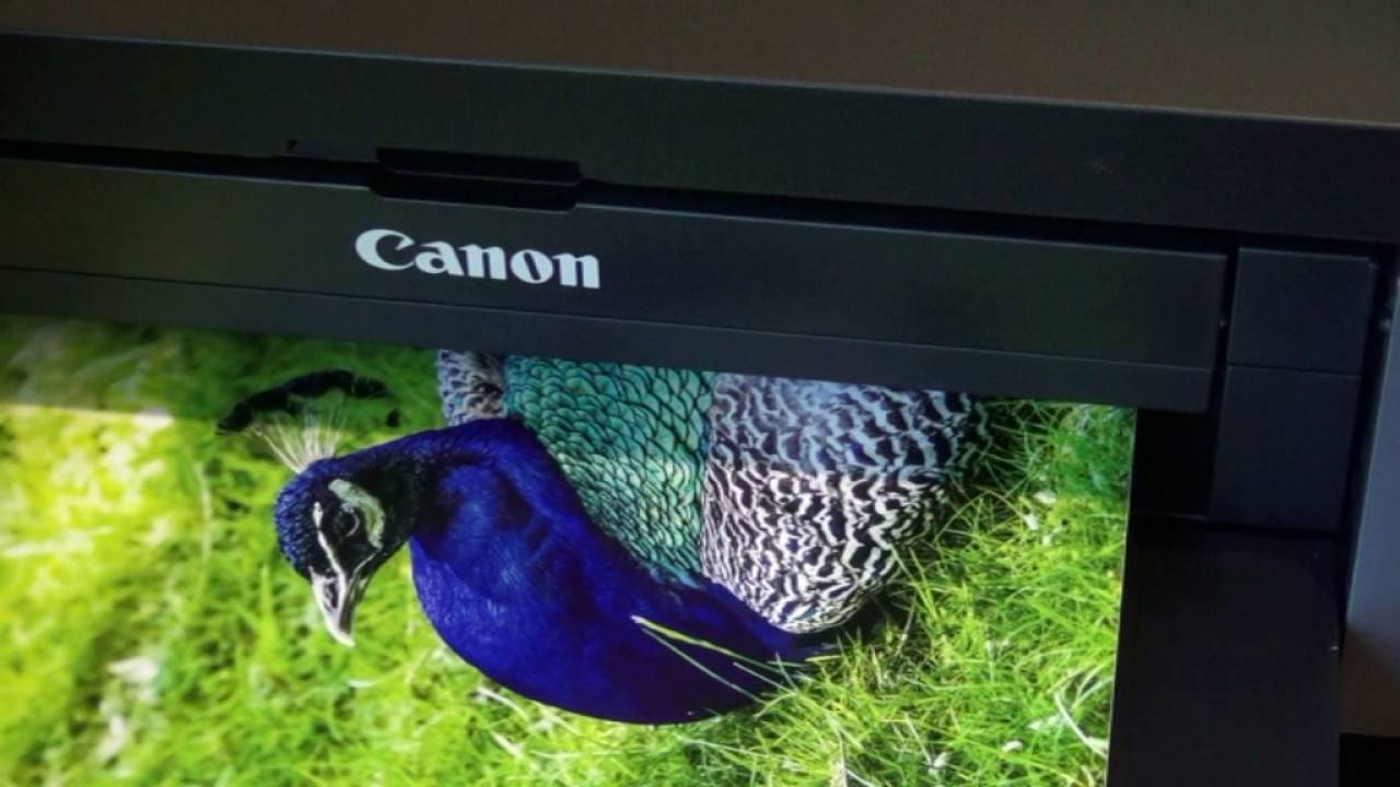 Canon Pixma Pro 100 printer performance