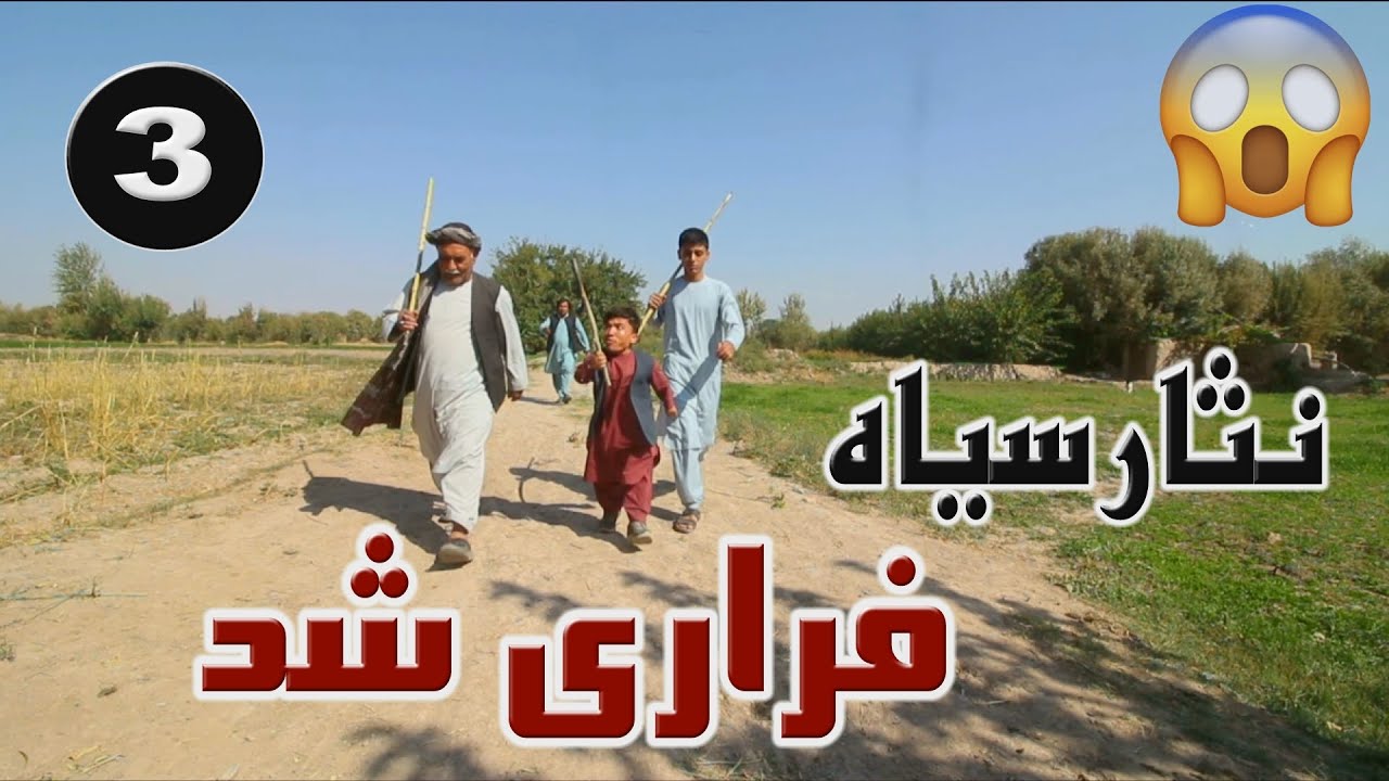 نمایش 